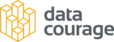 data courage logo